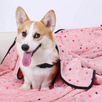 Soft Fluffy High Quality Pet Blanket Cute Cartoon Pattern Pet Mat Warm And Comfortable Blanket For Cat Dogs Mat Cover Pet Suppli