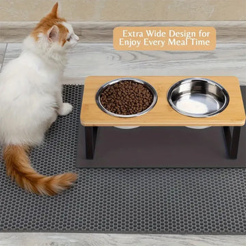 Elevated Slanted Kitten Plate Set of 2 Stainless Steel Plates for Indoor Cats, 2 Bowl Cat Feeder Easy to Assemble