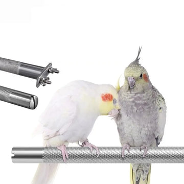 Parrot Perch Bird Stainless Steel Stand Scratching Stick Climbing Paw Grinding Toys for Birds Cage Accessories 3 Sizes