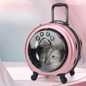 Cat Carrier Pet Carrier Cat Backpack Bag Cat Transport Small Animal Carrier Pet Trolley Case Transparent Reinforced Portable PC