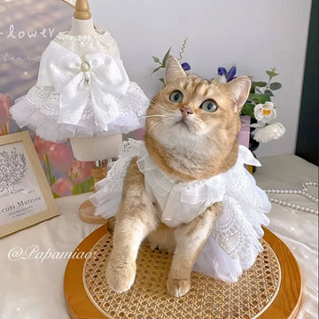 2025 Luxury Princess Cat Wedding Dress Ttu Dog Skirt for Small Dogs Pet Clothing Costume Puppy Supplies