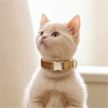 Plush Pet Collar & Leash Set - XS to L Sizes, Beige/Gray/Coffee/Brown, Soft & Comfortable for Dogs/Cats, Durable Alloy Buckle, E