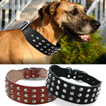 Genuine Leather Dog Collar for Large Dogs Cool Rivets Studded Spiked Pet Collar for Pitbull Mastiff Boxer XS S M L Black Brown