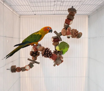 Small and medium parrots gnaw climbing toy log swing
