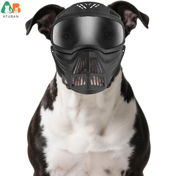 ATUBAN Dog Goggles Large Breed, UV Protection Full Face Sunglasses for Dogs, Windproof Dustproof Snowproof Pet Eyes Wear