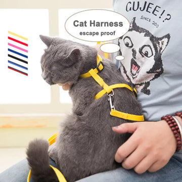 Lightweight Adjustable Cat Harness and Leash Set Escape Proof Kitten Strap Collar for Walking Travel Small Animals Puppy Harness