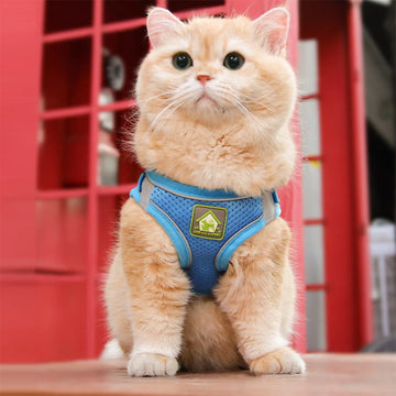 Cat Chest Harness and Leash Set Anti-Escape Adjustable Soft Mesh Cat Leash and Chest Harness Set for Cats Small Dog