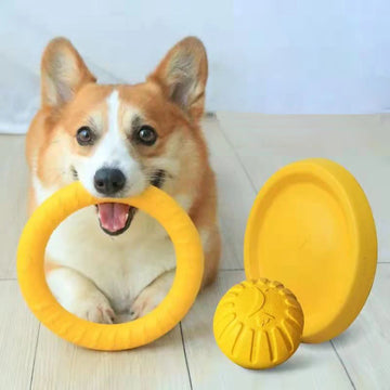 New Dog Toys Pet Flying Disk Training Ring Puller Anti-Bite Floating Interactive Toys Training Chewing Toy for Small Large Dogs