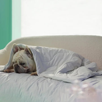 Cooling Blanket Soft Lightweight Blanket Summer Breathable Mat for Pets Dogs Cats