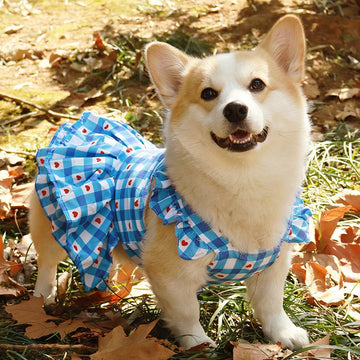 Pet Corgi Shiba Inu Bichon Teddy Dog Clothes Pet Princess Dress Cute Spring and Summer Thin Vest Suitable for Small Dogs