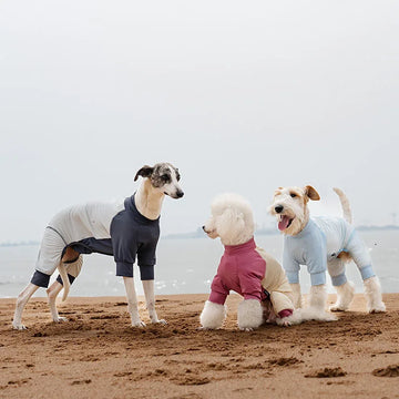 Teddy Chihuahua Sunscreen Coat Dog Thin all Inclusive Cooling Coat Summer Puppy Small Dog Outdoor Breathable Shirt Clothes