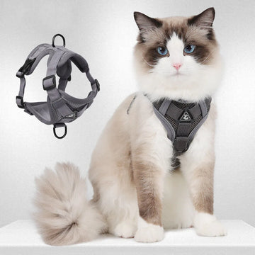 Cat Harness Anti-Escape Breathable Walking Leash Outdoor Easy Control for Dogs & Cats Pet Reflective Towing Vest Pet Supplies