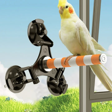 Ceramics Bird Perch Stand Grinding Scratcher with Suction Cup Perch for Parrots Parakeets Toy Window Wall Mount