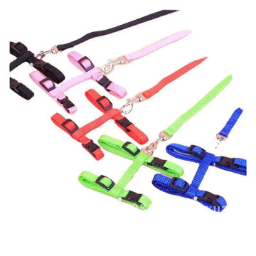 Colorful Cat Leash Nylon Chest Strap Pet Harness Adjustable Cat Rope in Blue Black Red Purple Green Pink - in Stock