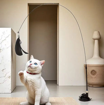 2025 Interactive Cat Toy with Feather Wand Strong Suction Cup Base Detachable Replaceable Parts for Endless Kitten Playtime Fun
