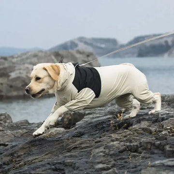 Ultimate Waterproof Dog Jacket for Large Breeds - Labrador, Doberman & Small Dogs - Stylish Raincoat Pet Accessories