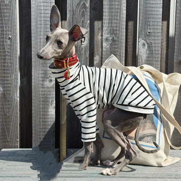White Striped Cotton for Bedlington Dog Clothes Long Sleeves Undershirt for Little Greyhound High-neck Loungewear for Poodle Dog