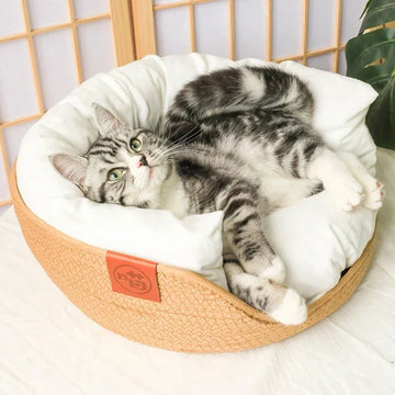 Woven Rattan Cat Basket Nesting Bed All-Season Cozy Kitten Lounger Cushion Scratching Board Detachable 2 in1 Cats Beds House