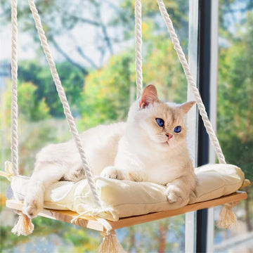 Cat Window Perch Solid Wood Hammock Bed 4 Heavy Duty Suction Cups Plush Cushion Indoor Pet Bed for Small Large Cats