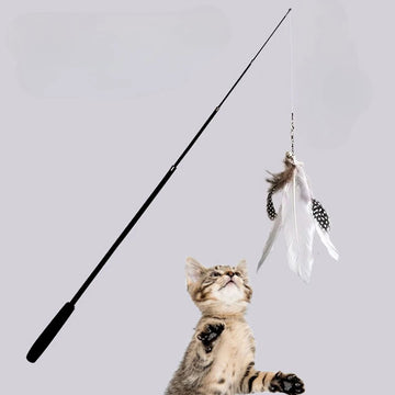 Four Section Expandable Cat Fishing Rod Toy with Catnip Interactive Teaser for Kittens Petshop Accessories Durable Pet Supplies