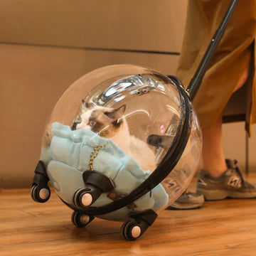 Cat Bag Out Portable Cart Case Space Capsule Cat Backpack Diaper Bag Large Capacity Transparent Pet Suitcase