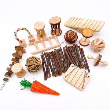 Small Animal Play Kit Hamsters Rabbits Mice Guinea Pigs with Parrot Toy Extras Moorwood Supplies