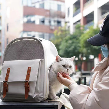 Portable Cat Carrier Breathable Backpack Fashion Cat Bag Foldable Pet Backpack Travel Bag Pet Bags for Kitten Travel Backpack