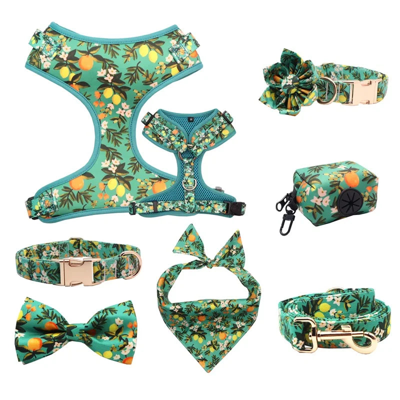 Personalized Floral Lemon Girly Dog Collar Flower with Matching Leash and Harness