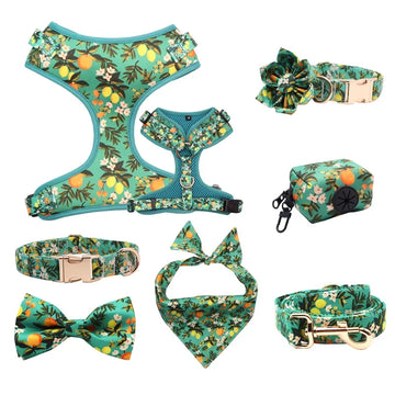 Personalized Floral Lemon Girly Dog Collar Flower with Matching Leash and Harness