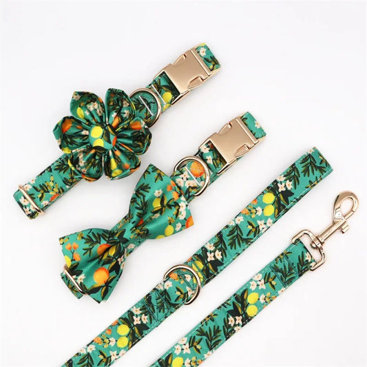 Personalized Floral Lemon Girly Dog Collar Flower with Matching Leash and Harness