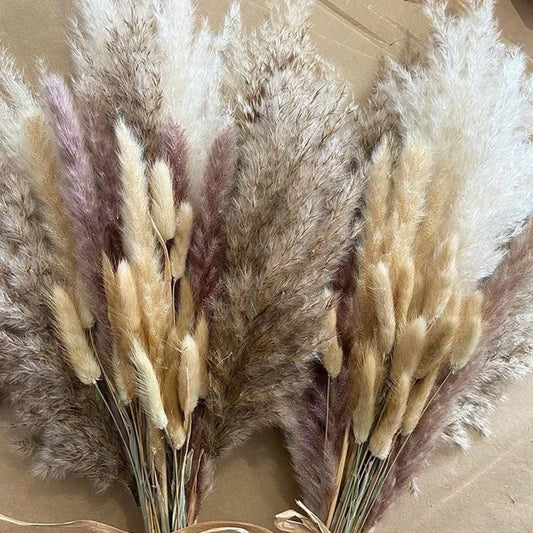 Natural Dried Pampas Grass Reed Bouquet Bohemian Style Phragmites Dried Flowers For Wedding Centerpieces Floral Arrangement