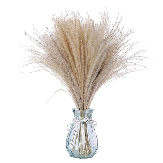 80Pcs Natural Dried Flower Fluffy Pampas Grass Bouquet Boho Home Vase Decor Bunny Rabbit Tail Luxury Wedding Party Decoration