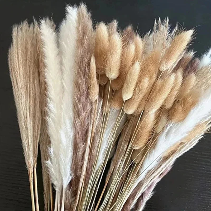 Natural Dried Pampas Grass Bunch - Tall Bouquet for Boho Home, Garden, Wedding, and Country Farmhouse Party Decoration