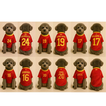 New Yamal #19 Pet Football Clother Spain Dog Shirt Summer Breathable Soccer Style Clothes for Small Dogs Pet Jersey