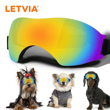 LETVIA Dogs Glasses Windproof Goggles for Large Medium Small Dogs Pet Motorcycle Sunglasses Fashionable Cool Pet Accessories
