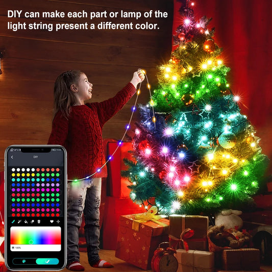 Bluetooth Smart RGBIC LED Fairy String Light 5V USB Dream Color  Waterproof IP67 Indoor/Outdoor for Party Holiday Christmas