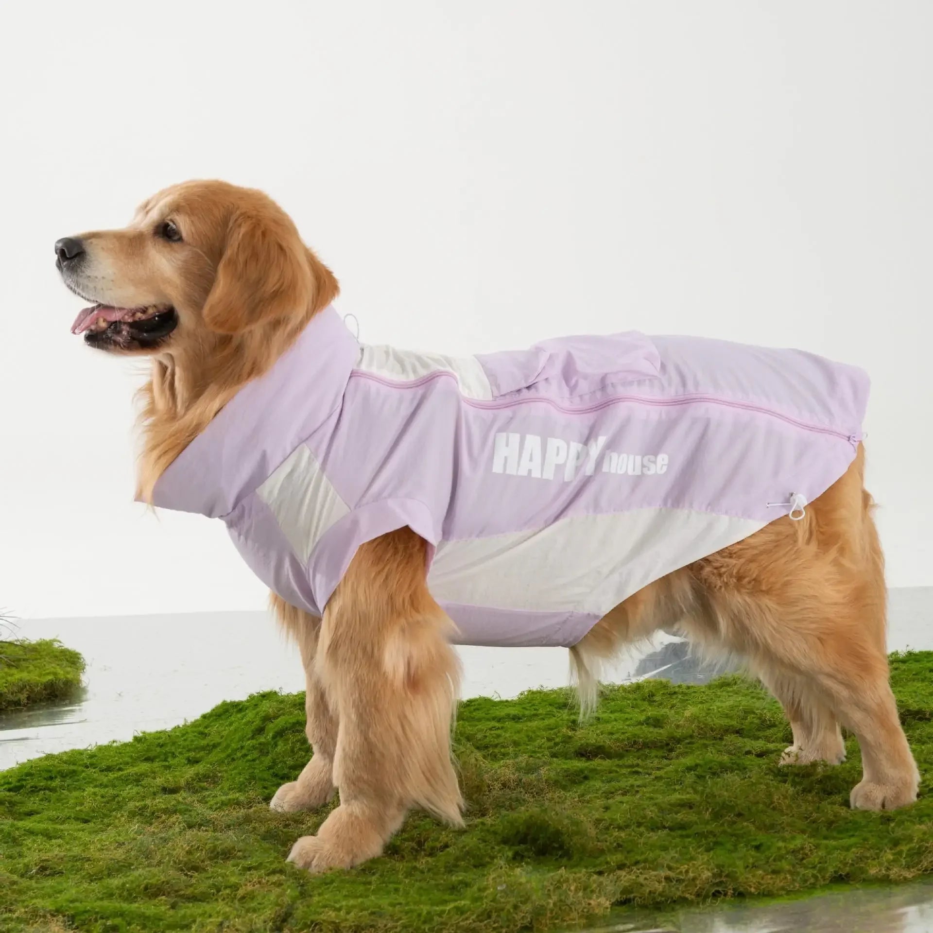 Summer Thin Sun Protection Clothes for Dogs Anti-Fall Hair Vest Me Vest Medium to Large Dogs Golden Retriever Labr