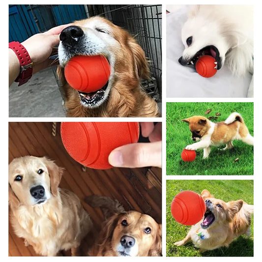 Wholesale Durable Dog Toys Non-Toxic TPE Chew Balls with Squeakers
