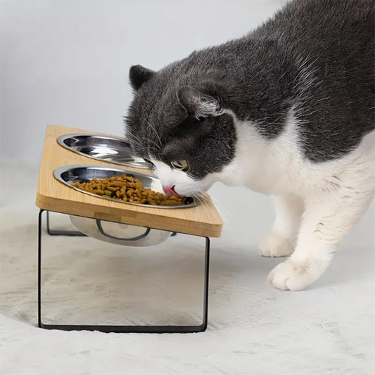 Elevated Slanted Kitten Plate Set of 2 Stainless Steel Plates for Indoor Cats, 2 Bowl Cat Feeder Easy to Assemble