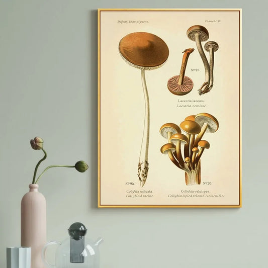 Vintage Mushroom Botanical Canvas Print Antique Medical Plant Drawings Poster Victorian Era Kitchen Decor Rustic Fungi Wall Art