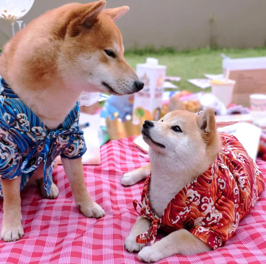 Spring Summer Clothes for Cat Dog Japanese Style Pet Clothing Kimono for Small Medium Dogs Shiba Inu Corgi Puppy Costume Outfit