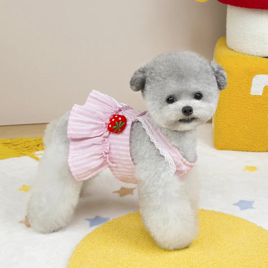 Pet Clothes Pet Clothing Puppy Chest Harness Spring Summer Dog Short Skiirt Wholesale Cat Clothes 25 Strawberry Chest Back