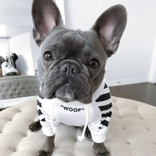 Pet Dog Clothes Winter Warm for French Bulldog Woof Stripe Pattern Dogs Hoodie Clothes Plus Velvet Jacket for Large Medium Dogs