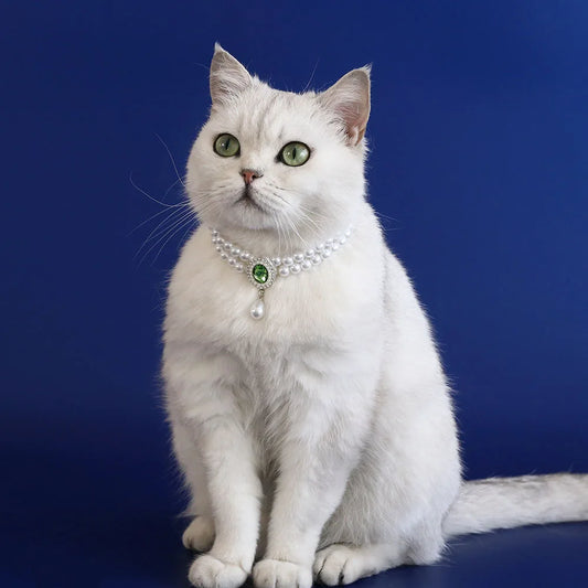 Pet Cat Small Dog Pearl Collar Water Droplet Shape Pearl Cat Necklace Adjustable Wedding Party Pet Jewelry Accessories for Puppy