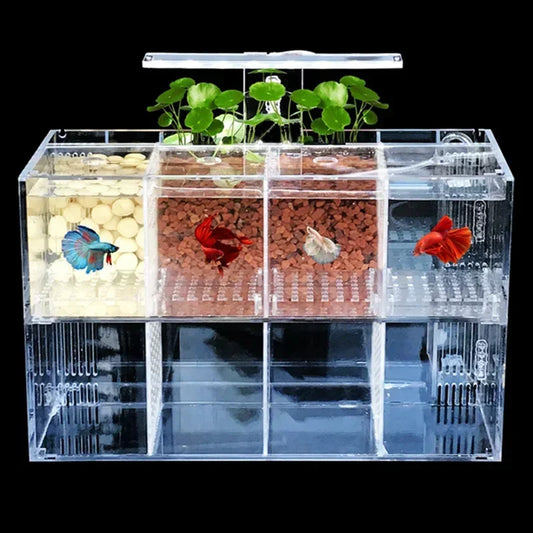 Aquarium Acrylic Fish Tank Breeding Isolation Box Goldfish Fighting Fish Viewing Tank Small Fry Breeder Isolations Box Supplies