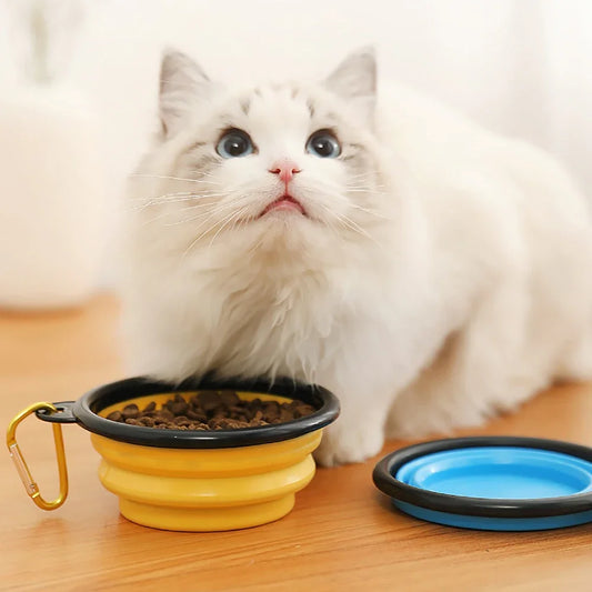 2-Pack Collapsible Dog Pet Folding Silicone Bowl Outdoor Travel Portable Puppy Cat Food Container Feeder Dish Bowl