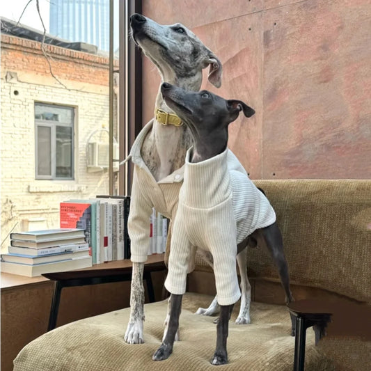 Elegant Romantic Lapel White Corduroy Coat for WHIPPET Spring High Neck Soft T-shirt for Italian GreyHound Dogs Suit in Autumn