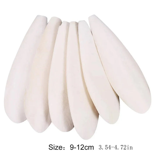 10Pcs Bird Cuttle Bone Pet Grinding Cuttlefish Bone Natural Cuddle Bone Parrot Chew Toy Chewing Cuttlefish Bone Bird Cuttlebone
