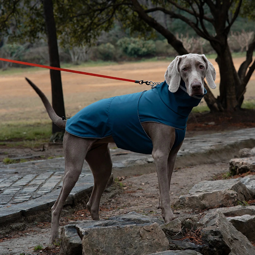 Pet Rainwear Clothes Reflective Puppy Apparel Dog Clothing High Neck Medium Dog Jacket Waterproof Dog Raincoat For Labrador