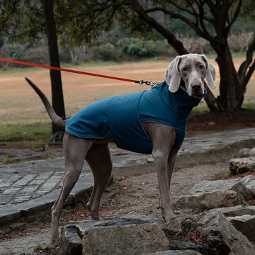 Pet Rainwear Clothes Reflective Puppy Apparel Dog Clothing High Neck Medium Dog Jacket Waterproof Dog Raincoat For Labrador